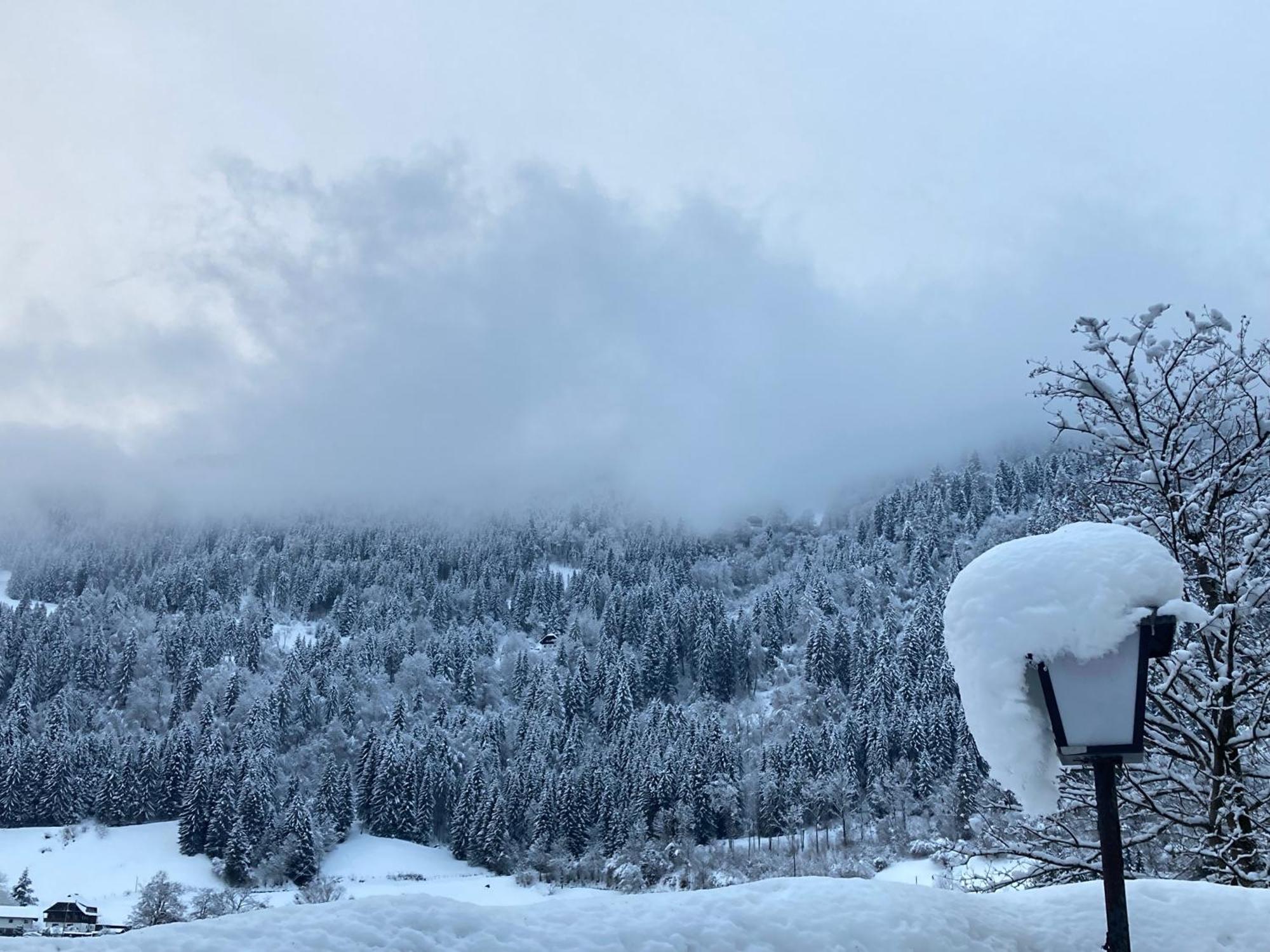 Seebrauer Erlach  Buitenkant foto